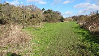 <span class="mw-page-title-main">Grove Farm, Ealing</span>