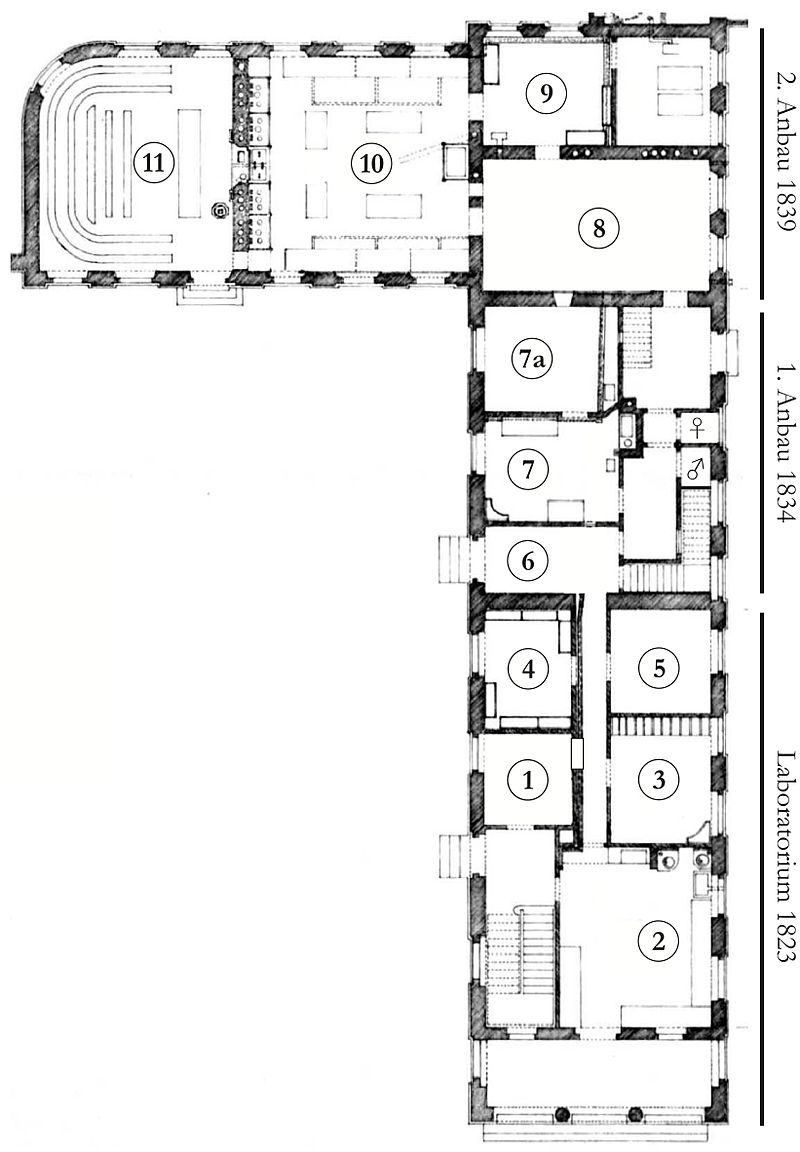 Das Liebig-Museum  800px-Grundriss_Liebigmuseum