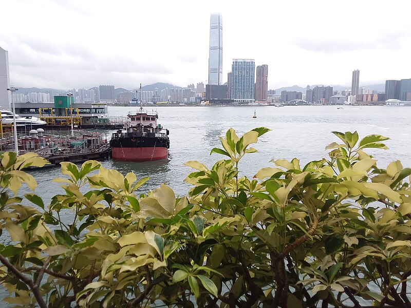 File:HK 上環 Sheung Wan north 干諾道中 Connaught Road Central footbridge view Hong Kong-Macau Ferry Piers Victoria Harbour ICC West Kln morning August 2019 SSG 08.jpg