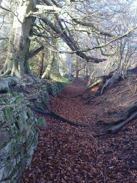 File:Ha Ha and Leaves - geograph.org.uk - 1131949.jpg