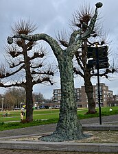 Androïdendron door Hans Lemmen op de Begijnhofwal