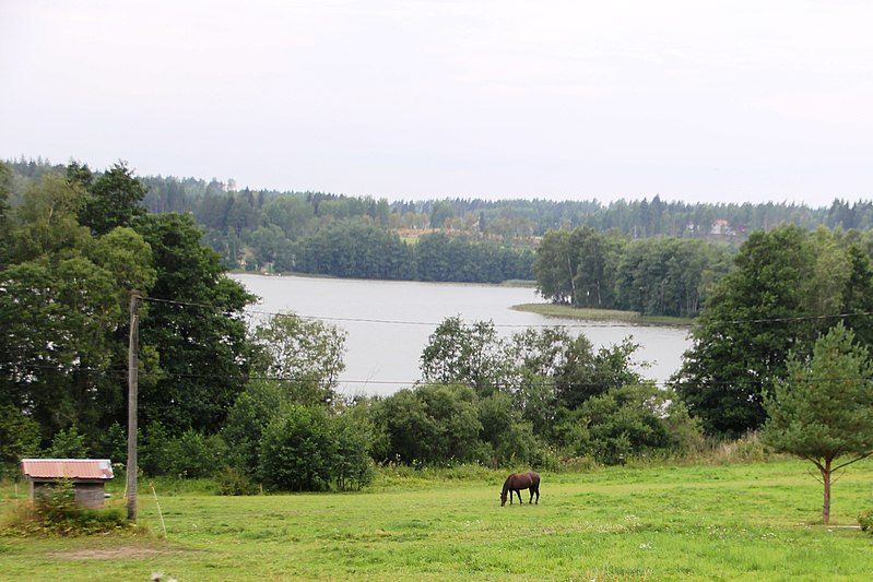 File:Hirsijärvi 2, Kisko.jpg