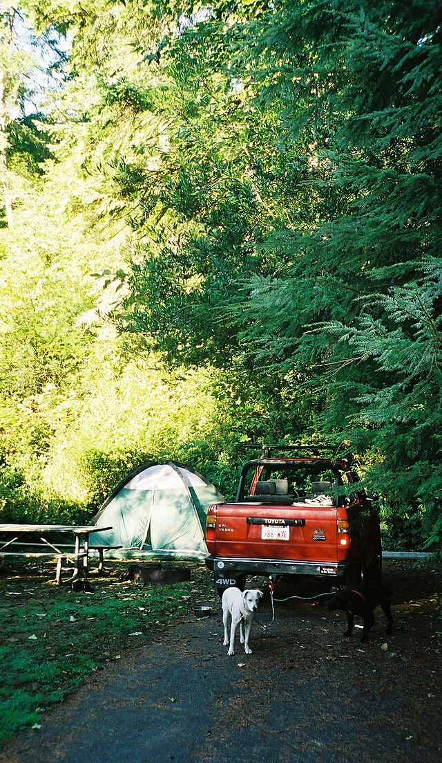 Jessie M. Honeyman Memorial State Park - Wikipedia