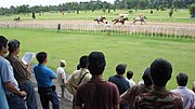 Thumbnail for Horse racing in Thailand