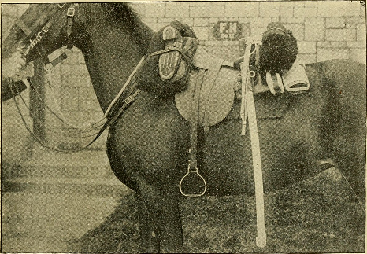 File:Horse Bridle or Belt Ornaments MET sf17-190-962cs1.jpg - Wikimedia  Commons