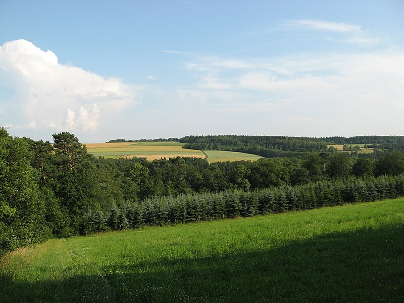 File:Hunsrück-Impression01.jpg