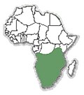 Миниатюра для Файл:Hystrix africaeaustralis map.jpg