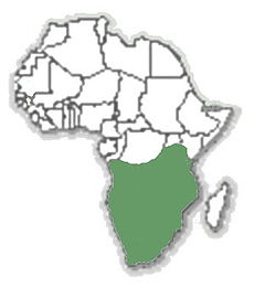 Hystrix africaeaustralis map.jpg