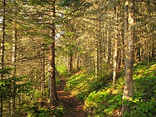 Tobin Harbor Trail in the Laurentian Mixed Forest Province ISROTobin.jpg