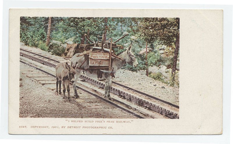 File:I Helped Build Pike's Peak Railway; donkey (NBY 428892).jpg