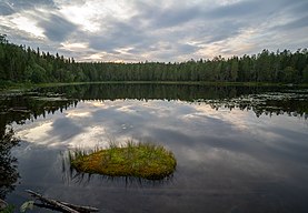 En mycket liten ö vis syd-östra hörnet av Innerabborr-tjärnen