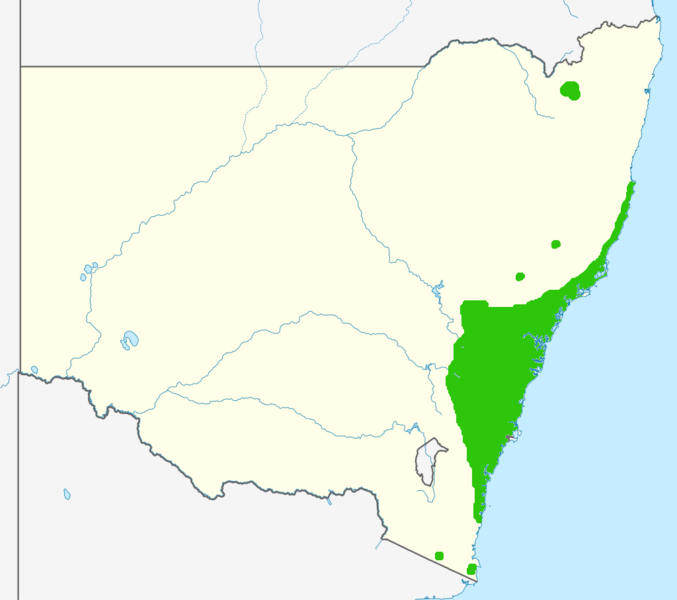 File:Isopogonanmonifoliusrgemap.png