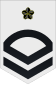 56px-JMSDF_Petty_Officer_2nd_Class_insignia_%28c%29.svg.png