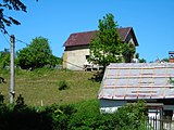 Kůň u domu ve vesnici , částí města Jablonné v Podještědí, okres Liberec.