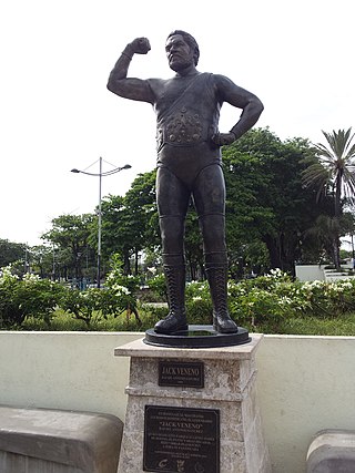 <span class="mw-page-title-main">Jack Veneno</span> Dominican professional wrestler and politician (1942–2021)