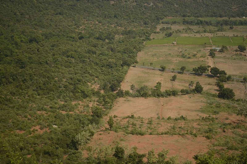 File:Kalvarayan hills JEG3524.jpg