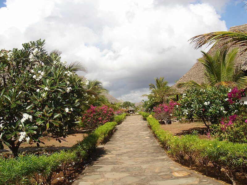 File:Karibuni resort a Mambrui, un giardino sull'oceano - panoramio.jpg