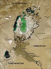Aralo: Malaltiĝo de la nivelo, Ekologiaj postsekvoj de la sekiĝo, Restariga agado en la regiono