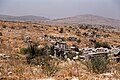 Khirbet Sarqiye (خرب), Syria - Remains of portico of house with seats on upper story - PHBZ024 2016 4377 - Dumbarton Oaks.jpg