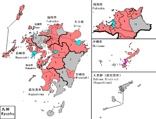 Single member results -- LDP in red, DPJ in light blue, SPD in purple, Independent in gray Kyushu hrdist map 2005.PNG