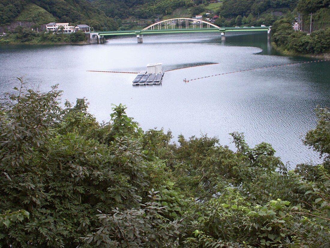 Lago Okutama