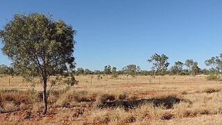 <span class="mw-page-title-main">Waverley, Queensland</span> Suburb of Shire of Boulia, Queensland, Australia