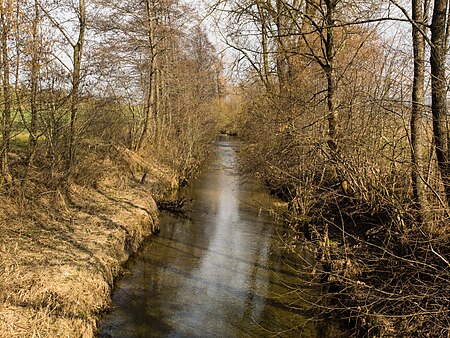 Lauche Stettfurt