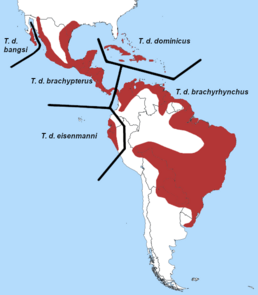 Мапа історичного поширення виду