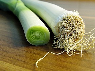 Leek