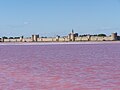 Vignette pour Marais de Peccais