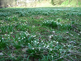 Polenztal, Saxony, Germany