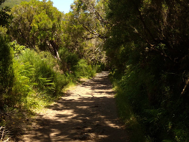 File:Levada do Risco, Madeira, Portugal, June-July 2011 - panoramio (9).jpg