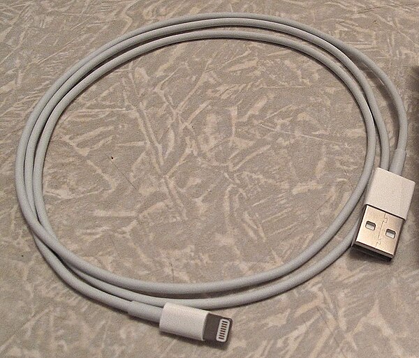 Apple Lightning to USB-A cable