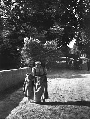 Fotograf Louis Held: Leben, Wirken, Literatur