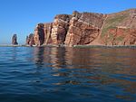 Lummenfelsen västra sidan av Helgoland.JPG