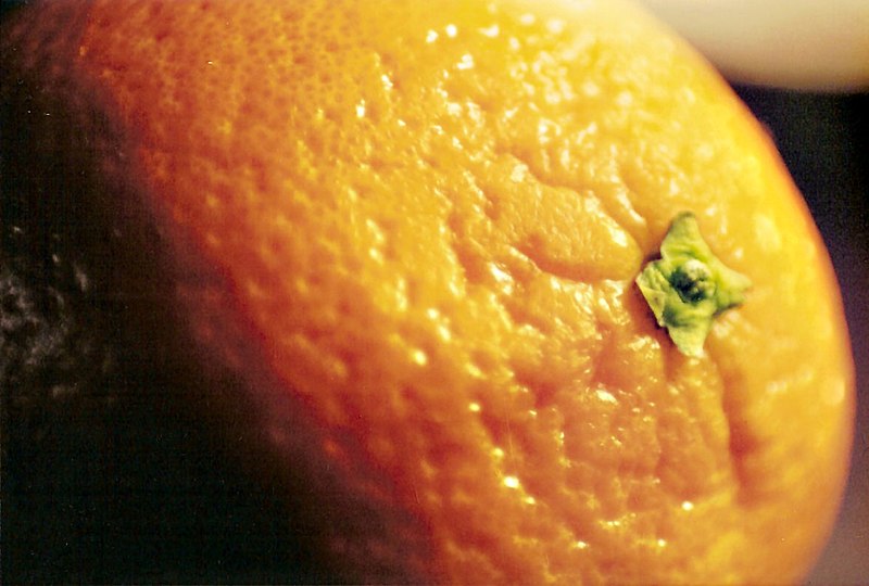 File:Macro Orange.jpg