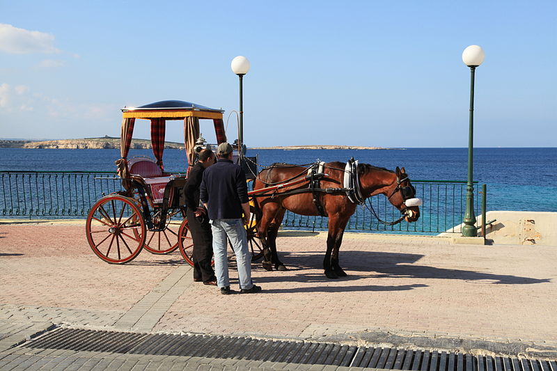 File:Malta - St. Paul's Bay - Dawret il-Gzejjer 02 ies.jpg