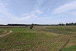 Meadow in Neu Falkenhagen 2021-09-07 09.jpg