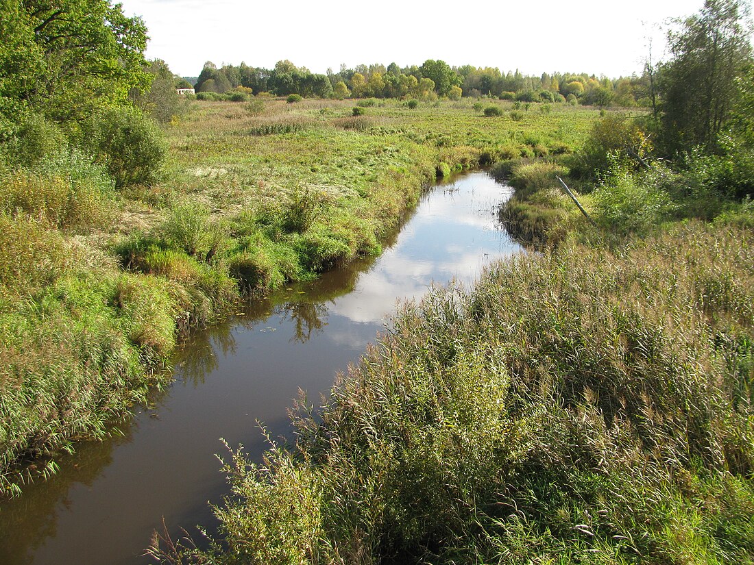 Melnupe (Mustjegi pieteka)