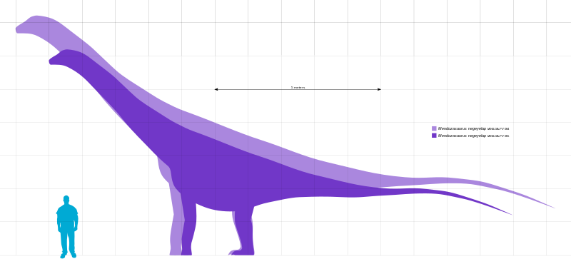 File:Mendozasaurus Scale.svg