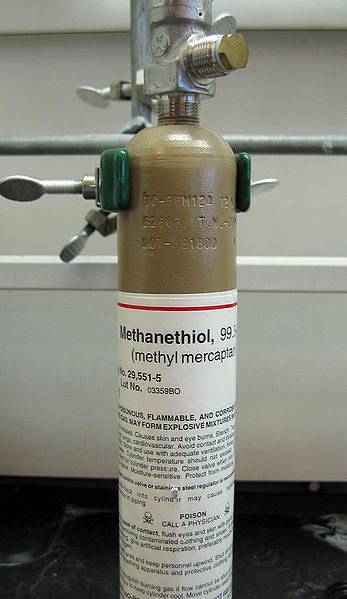 Cylinder of methanethiol gas