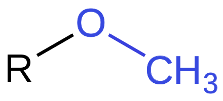 The structure of a typical methoxy group