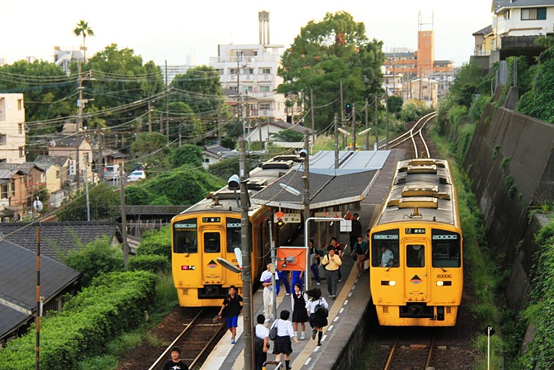 File:Minami Kagoshima plathome.jpg