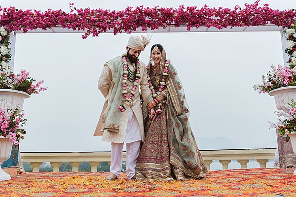 Mohit Raina and Aditi Chandra wedding