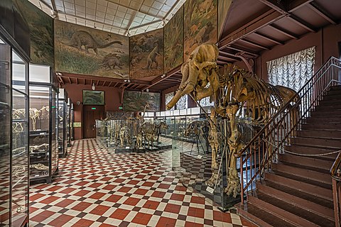 MSU Zoological Museum in Moscow