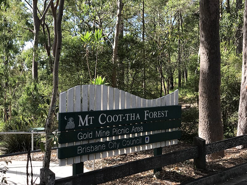 File:Mount Coot-tha Forest Picnic Area 04.jpg