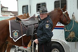 Mounted Unit Mounted unit NRP.jpg