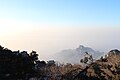 Mt-tai-looking-down-temples.jpg