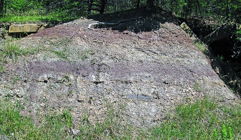 File:Mudshales (Henley Member, Borden Formation, Lower Mississippian; Tener Mountain roadcut, southern Ohio, USA) 1 (36280539070).jpg