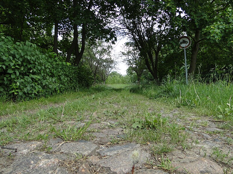 File:Mustin Standort ehemaliges Gutshaus Kopfsteinpflasterstraße 2011-05-24 218.JPG